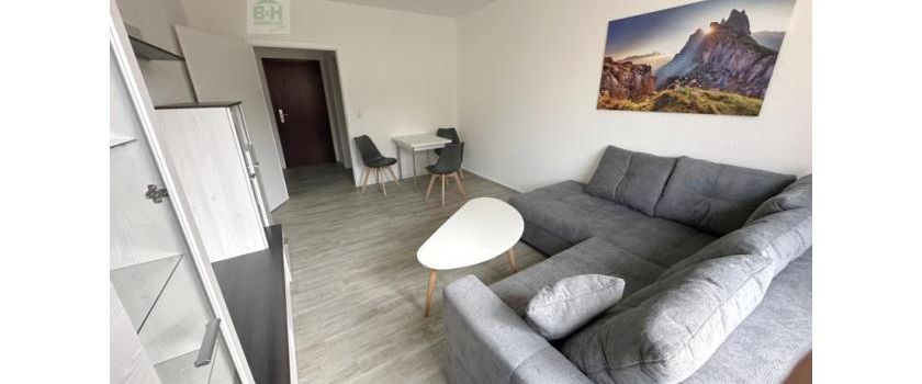 3033484275::1 oder 2 Raum Appartements in Wolfen möbliert oder leer 24 qm oder 48 qm - Foto 1