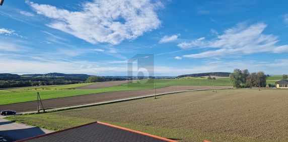 SCHÖNE RAUMAUFTEILUNG MIT TERRASSE UND GARTEN - Foto 2