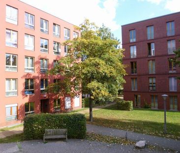 Geräumige 3 Raumwohnung - Photo 1