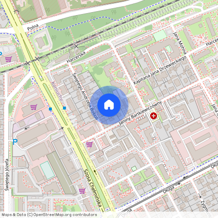 ul. Janiny Bartkiewiczówny, Koniuchy, Toruń, kujawsko-pomorskie