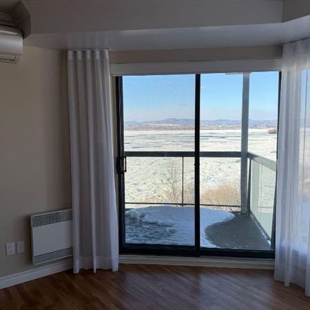 Condo vue sur le fleuve _ 2 chambres et 2 salles de bain - Photo 4