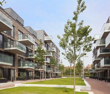 De Heelmeesters, Amsterdam - Photo 3