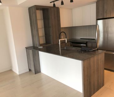 170 Rue Rioux, Montréal (Le Sud-Ouest), QC H3C - Photo 4