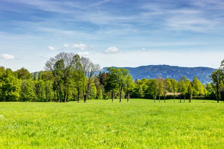 Wohnen auf Zeit: Tradition & Moderne vereint in Gmund - Foto 5