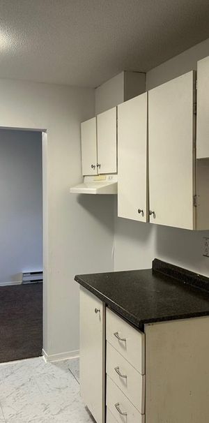 31 Rue Du Curé-André-Préseault (Gatineau) Très Beau Logement De 2 Cc - Photo 1