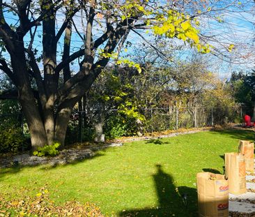 For Lease - 36 Flavian Crescent Unit# Bsmt, Toronto, Ontario - Photo 4