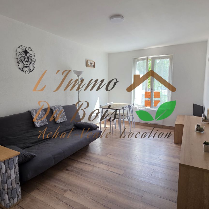 Location Appartement 1 pièce 22m² LE PEAGE DE ROUSSILLON 38550 - Photo 1
