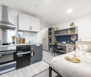 Bronze Studio Plus - Photo 6