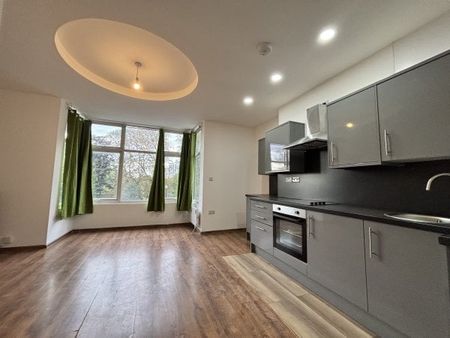 Flat 3, Arboretum Road, WS1, Property for rent - Photo 3