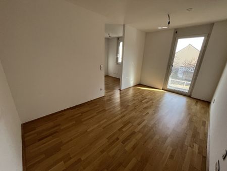 RIVOLO 23: Geräumige 2-Zimmer-Wohnung mit Balkon nahe Erlaaer Straße - in 1230 Wien zu mieten - Photo 3