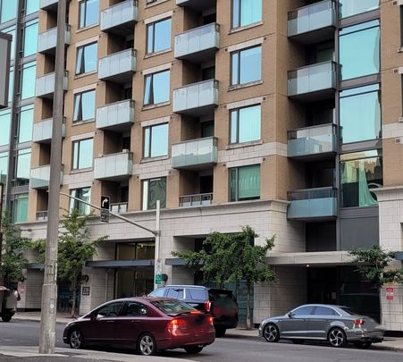 For Lease - 238 Besserer Street Unit# 312, Lower Town - Sandy Hill, Ontario - Photo 1