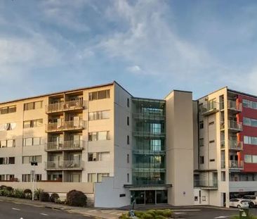 Modern Appartment in Takapuna with Pool & Parking - Photo 1