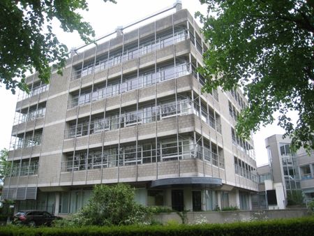 Burgemeester Drijbersingel 19-206 - foto 5