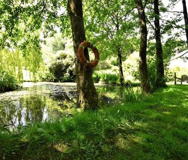 Ash Mill, South Molton, Devon, EX36 - Photo 6