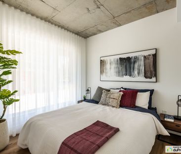 5460 rue Sherbrooke Est - Unité 3 ½ - Mostra Maisonneuve, Mercier /... - Photo 3