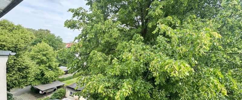 3-Raum-Wohnung mit Balkon und Stellplatz - in ruhiger Lage - Foto 1