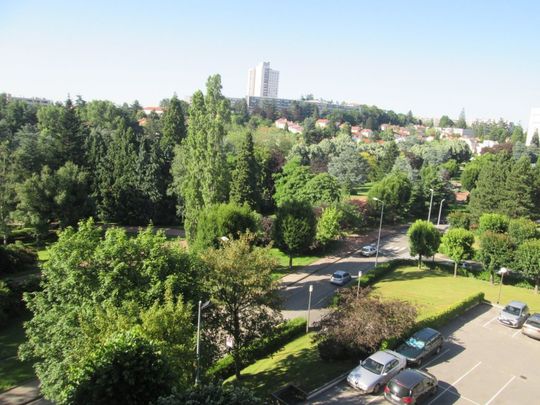 APPARTEMENT T1 A LOUER - Photo 1