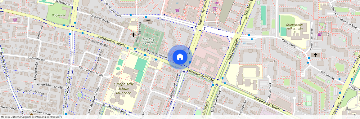 Thomas-Dehler-Straße, 32, 81737, München