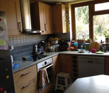 Stunning 3 bedroom, semi-detached house with garden to let in Oxford - Photo 4