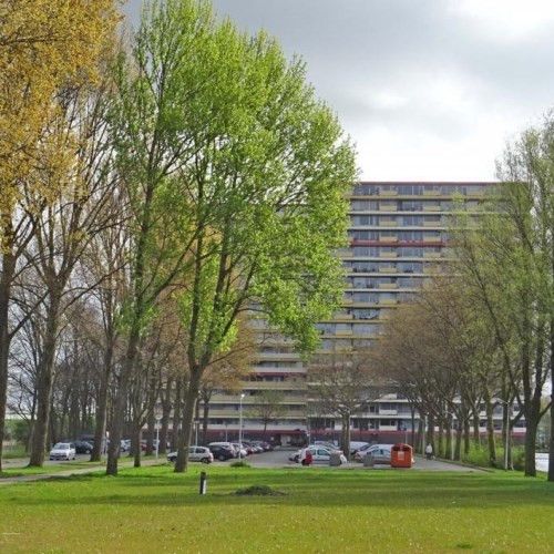 Oost Dorsch 0ong, 1504 Zaandam, Nederland - Foto 2