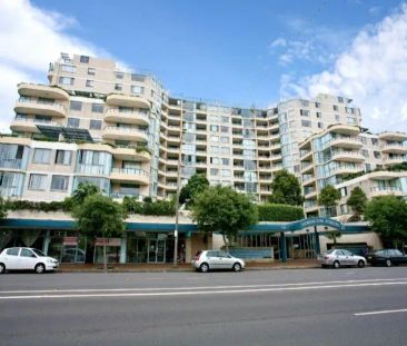168/116 Maroubra Road, Maroubra NSW 2035 - Photo 4