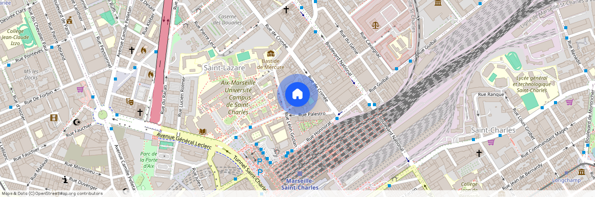 7 Bd Gustave Desplaces, 13003 Marseille 03