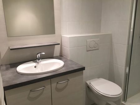 Location Appartement SALLANCHES 74700 - Photo 3