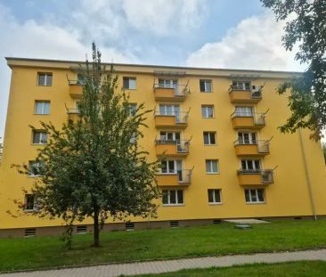 Pronájem světlého bytu 3+kk s balkonem 67 m - Photo 3