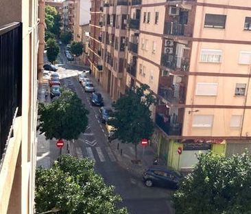 Carrer Mestre Marçal, Valencia, Valencian Community 46019 - Photo 6