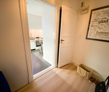 Hyggelig 2-værelses lejlighed med udsigt til Østre Anlæg - Foto 1