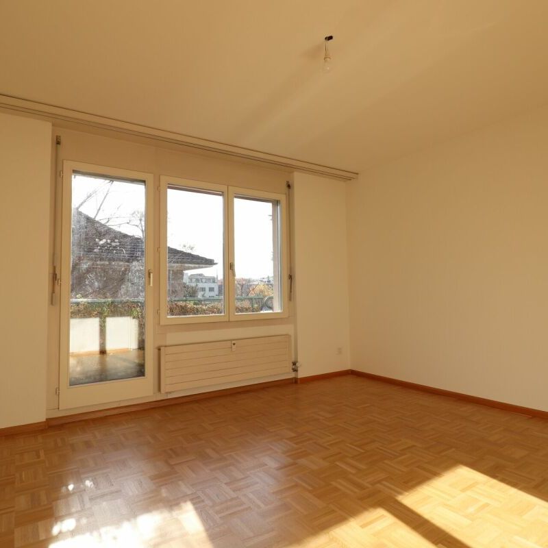 Nähe Schützenmattpark - frisch teilsanierte, grosszügige Dachwohnung mit 2 Terrassen - Foto 1