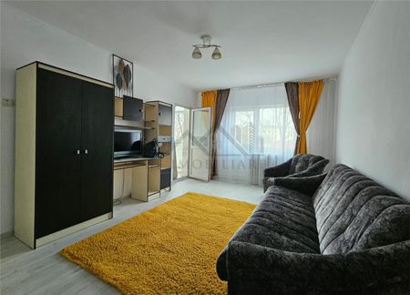 Apartament cu o camera str Egalitatii Nicolina 1 - Fotografie 4