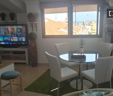 santa_cruz_de_tenerife, Canary Islands 35215 - Photo 6