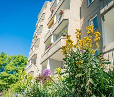 3-Zimmer-Wohnung nahe Küchwald - Photo 5