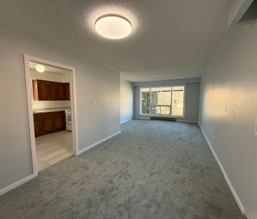 For Lease - 43 Chapman Avenue Unit# Main, Toronto, Ontario - Photo 1