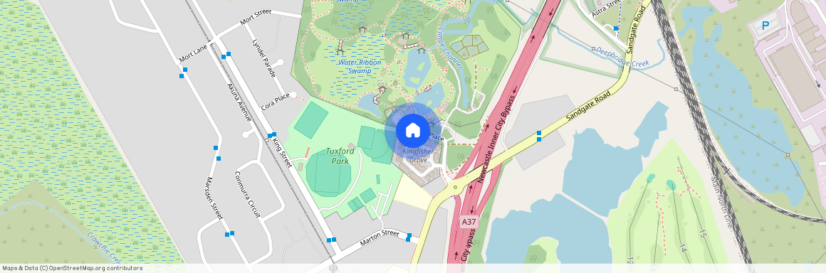 33 Kestrel Cct, NSW 2307, Shortland