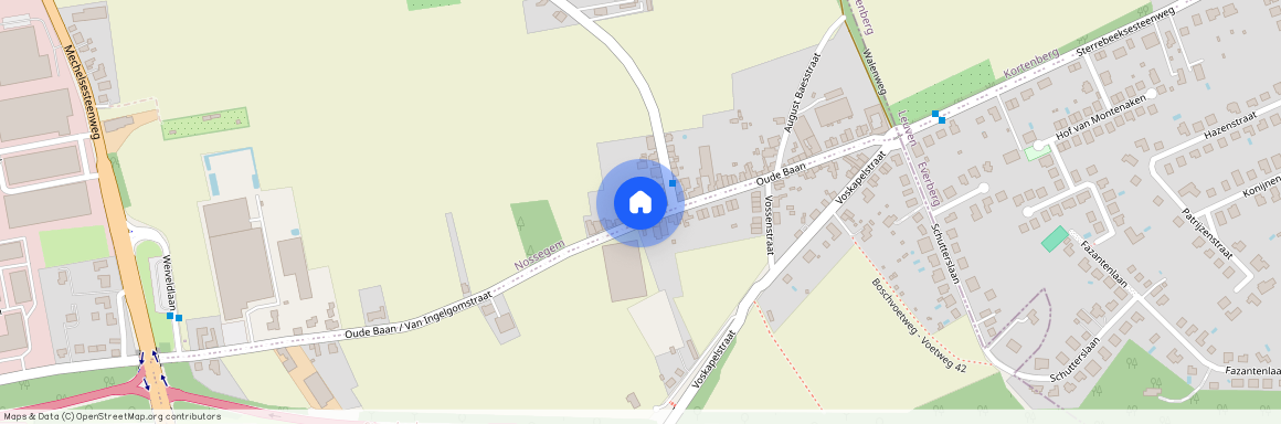 Van Ingelgomstraat, 41A, 1930, Zaventem