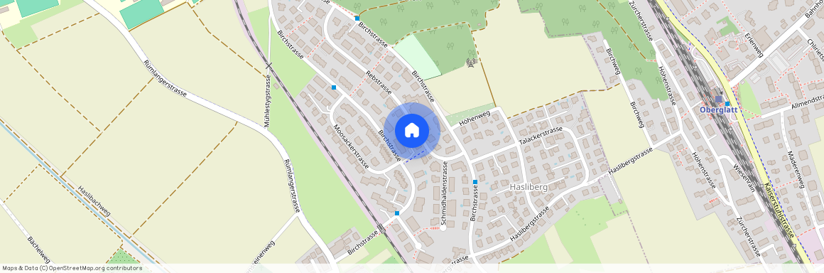Rebstrasse 15, 8156 Oberhasli, Lageplan