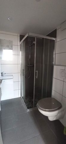 Location Appartement 1 pièce 16m² WISSEMBOURG 67160 - Photo 3