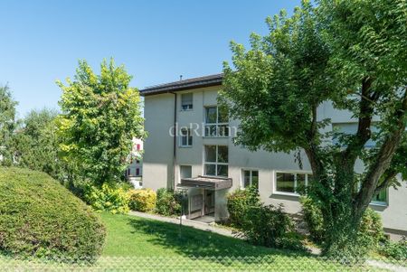 Bel appartement de 2 pièces à Orbe en cours de rafraîchissement - Foto 3