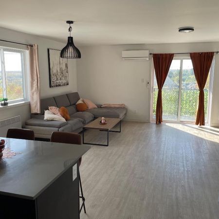 Appartement 4 1/2, animaux acceptés + prime - Photo 4