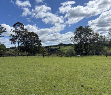 Rural Birdsong - Photo 5