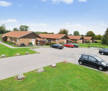 Attraktivt 1-plans rækkehus i Holluf Pile med egen have og parkering - Photo 1