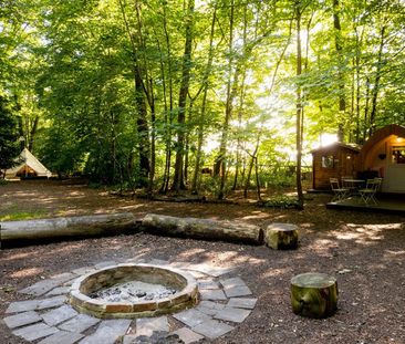 Hollington Park Glamping - Photo 1