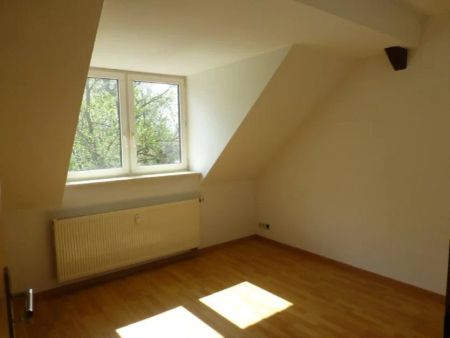 +++ 2 Raumwohnung im Alten Rittergut +++ - Foto 5