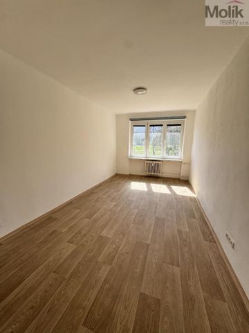 Pronájem bytu 2+1 54 m2 - Фото 4