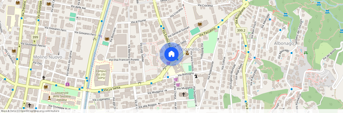 Via Emilio Rava 1, 6962 Viganello