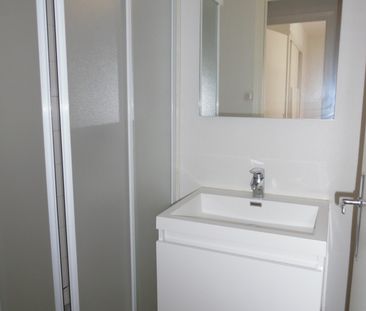 Location Appartement 5 pièces 76m² GRENOBLE 38000 - Photo 3
