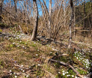 Drögshults Sjöväg, Ulrika - Foto 3