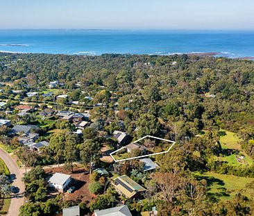 Charming Beach Home Amongst the Treetops - Photo 3